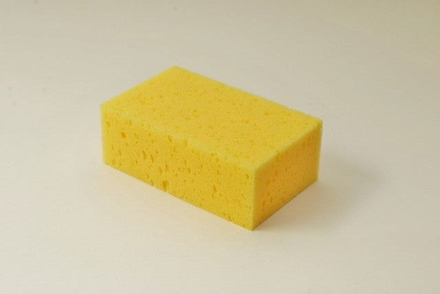 Tafelschwämme