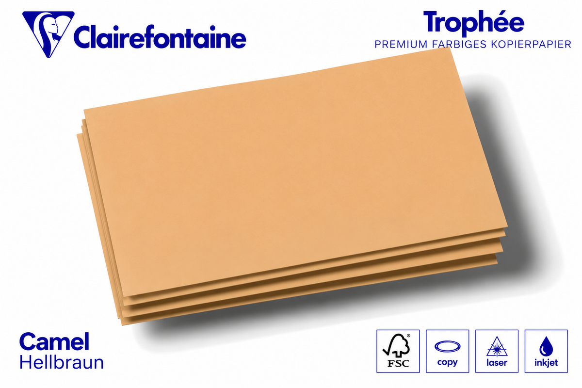 Kopierkarton 160 g