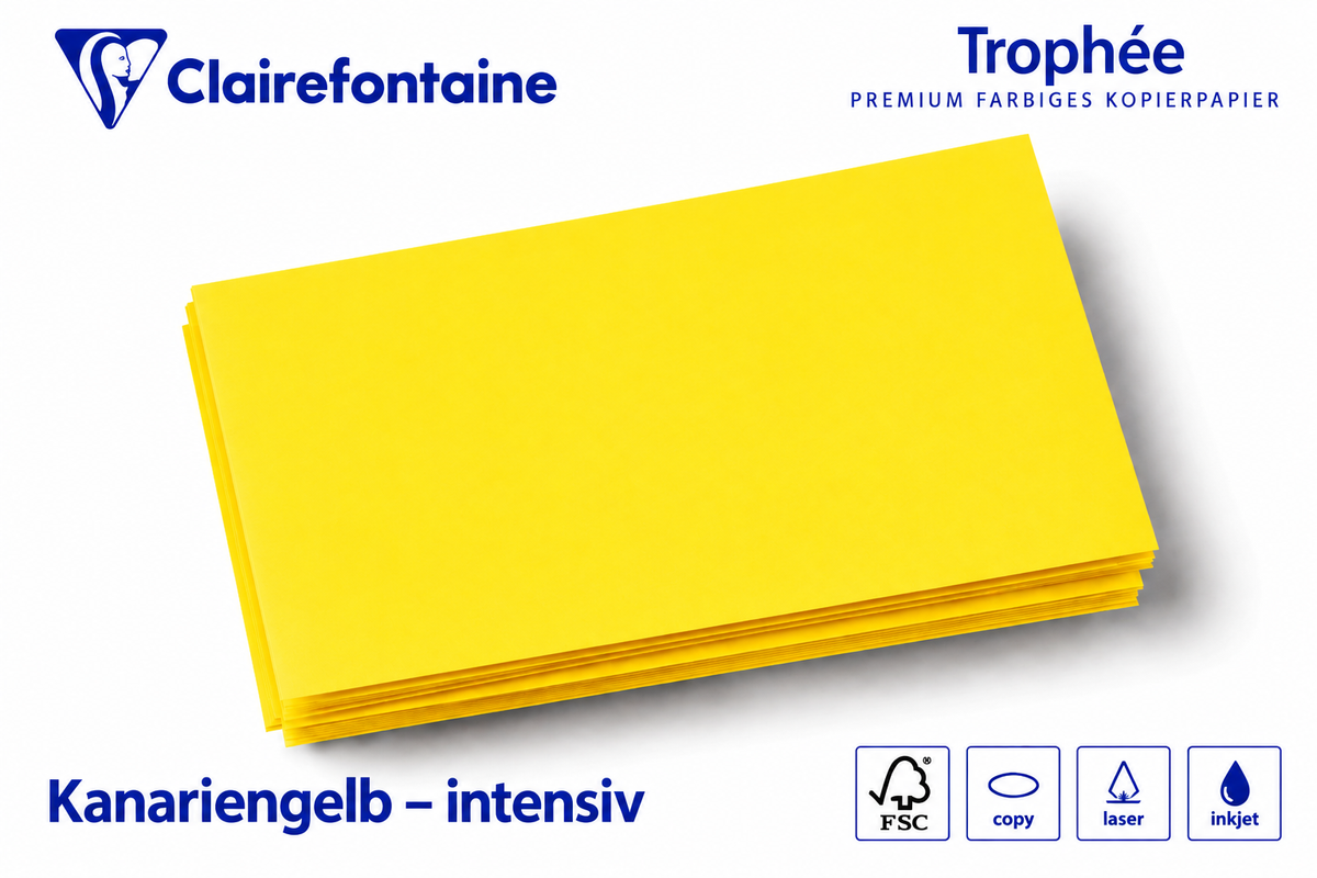 Kopierkarton 160 g