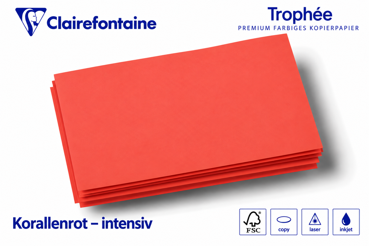 Kopierkarton 160 g