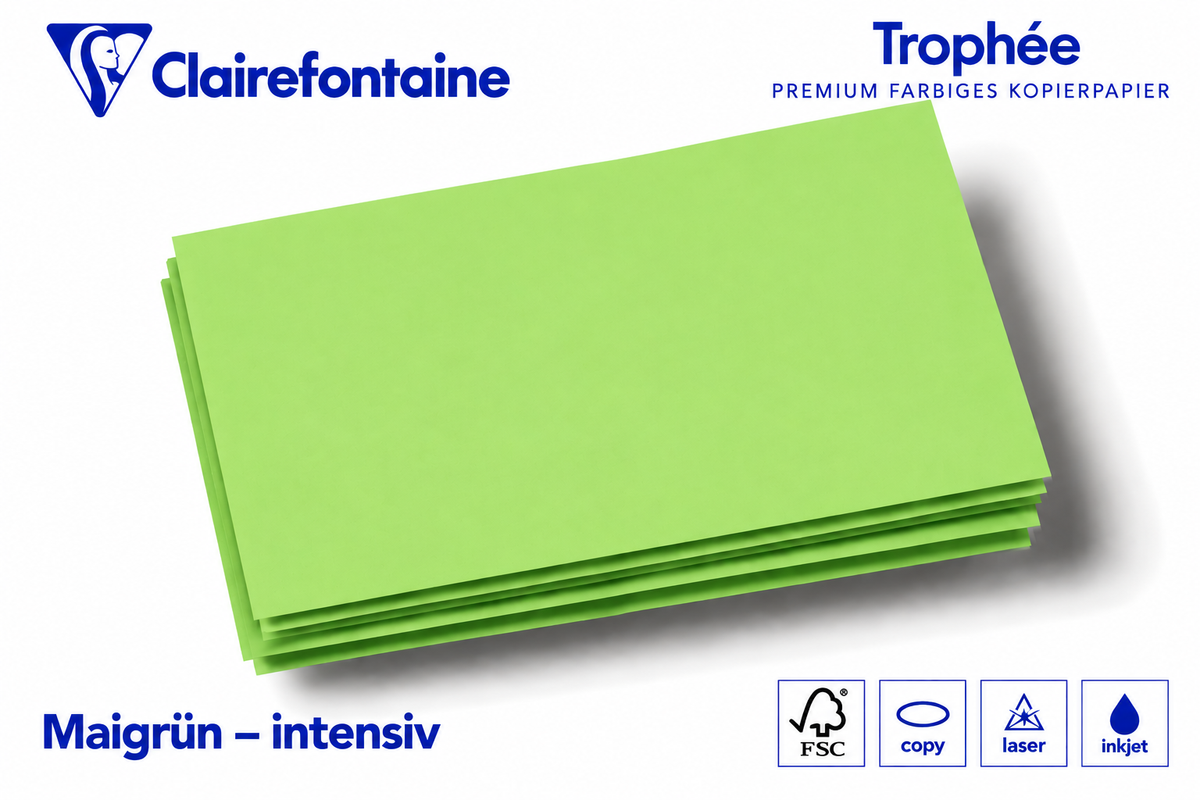 Kopierkarton 160 g