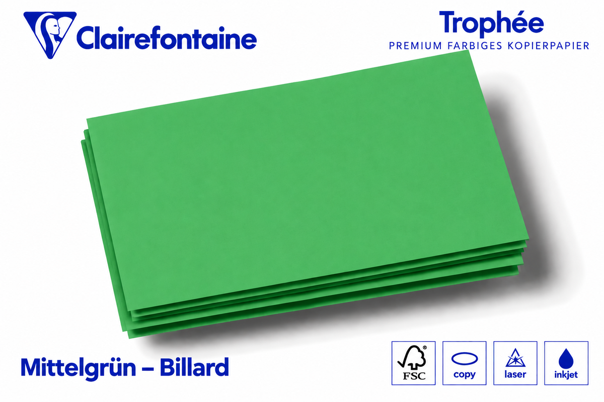 Kopierkarton 160 g