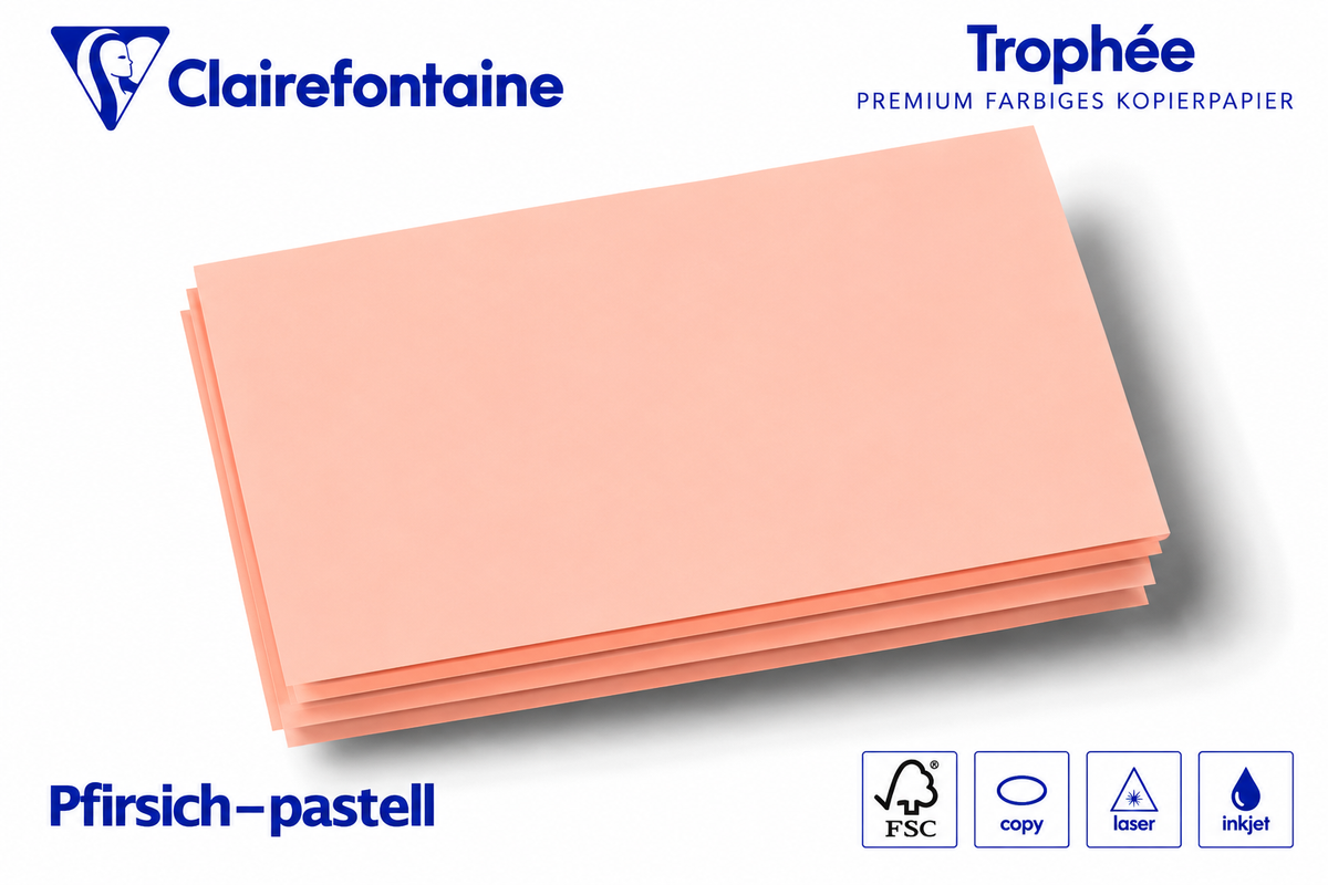 Kopierkarton 160 g