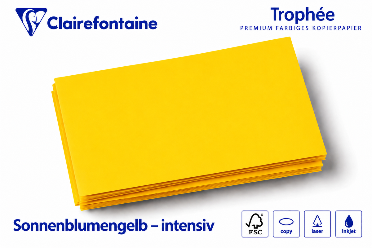 Kopierkarton 160 g