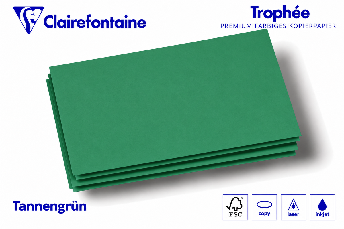 Kopierkarton 160 g